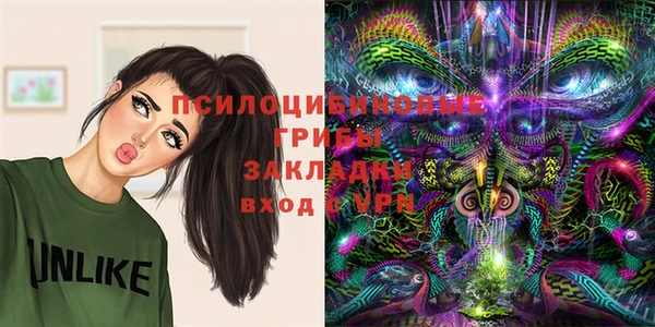 бутират Алексин