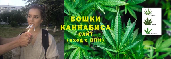 шишки Пересвет