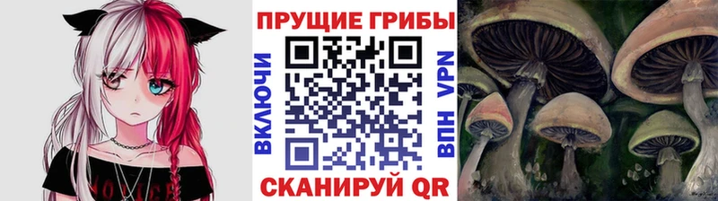Галлюциногенные грибы прущие грибы Гусь-Хрустальный